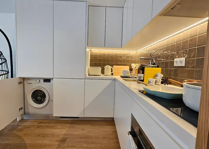 A Proa Do Moliceiro Doca - Barra Terrace Apartment Gafanha da Nazaré